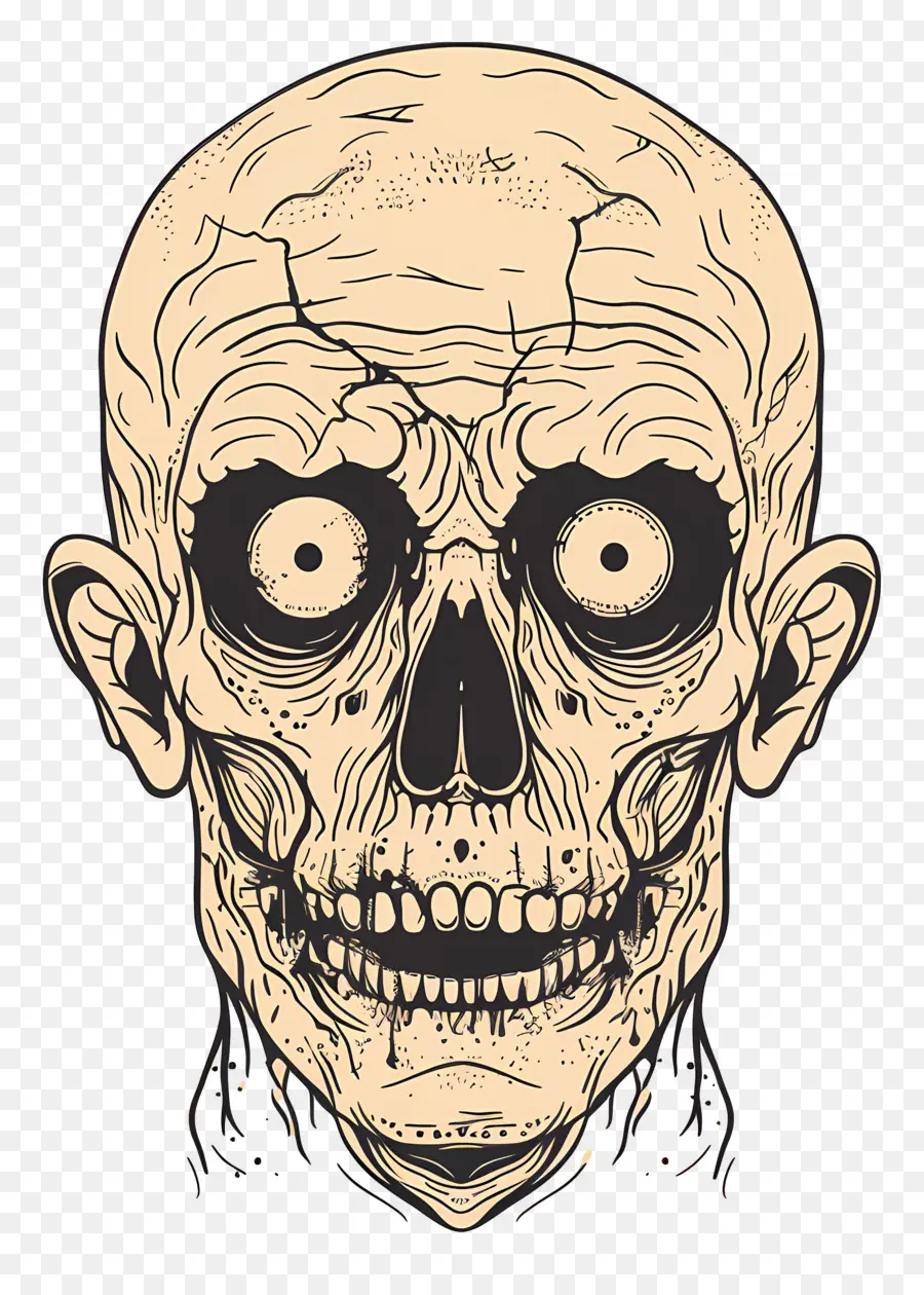 Tête De Zombie，Crâne De Zombie PNG