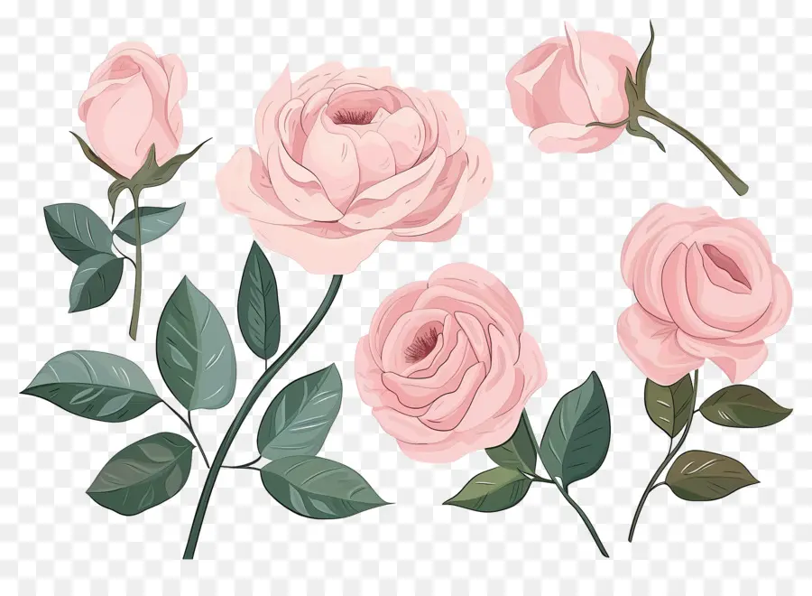 Roses Roses，Composition Florale PNG