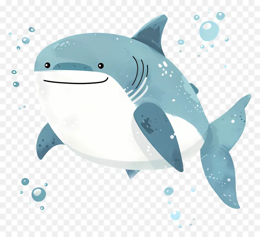 Requin Mignon，Souriant PNG