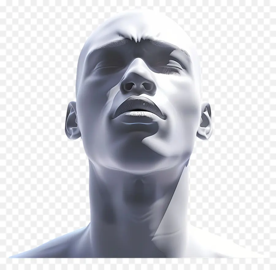 Visage D'homme，Sculpture De Tête En 3d PNG