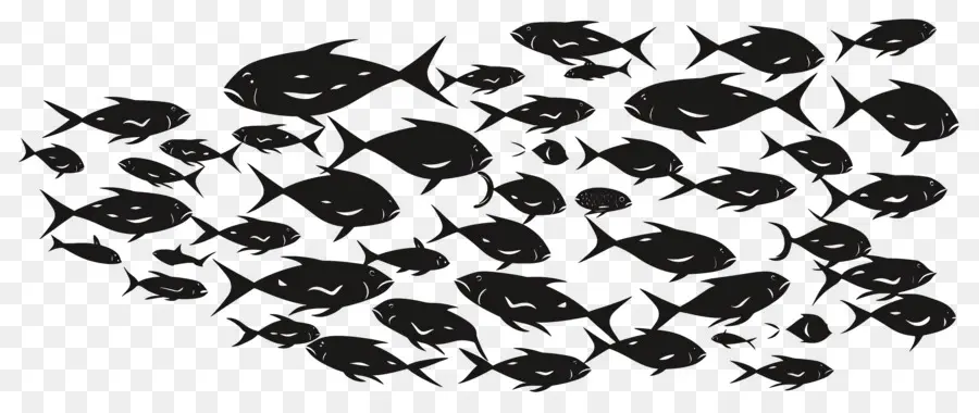 Groupe De Poissons，Banc De Poisson Noir PNG