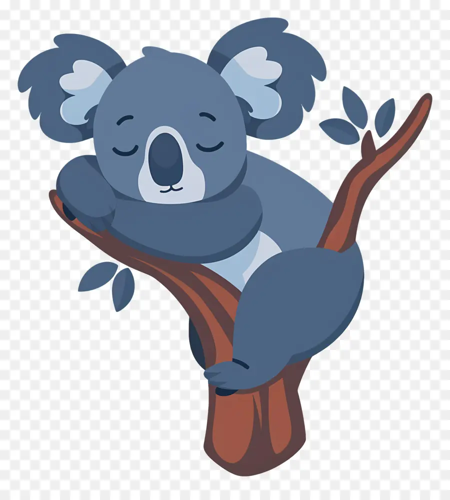 Koala Mignon，Koala PNG