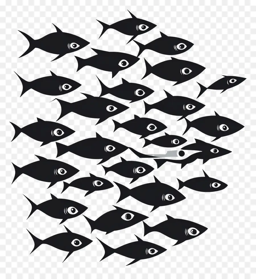 Groupe De Poissons，Poisson Noir PNG