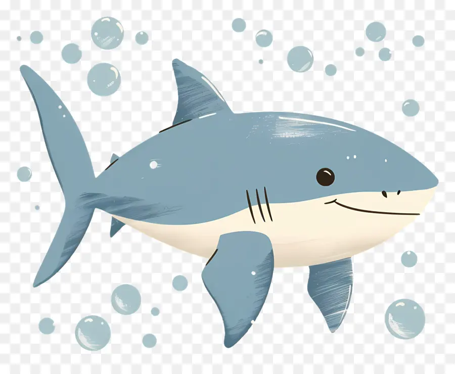 Requin Mignon，Requin PNG