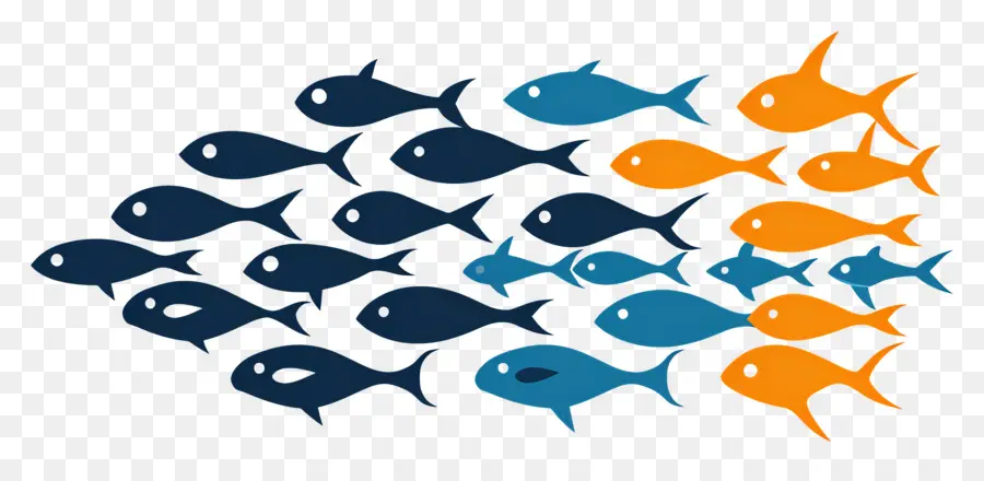 Groupe De Poissons，Poisson PNG