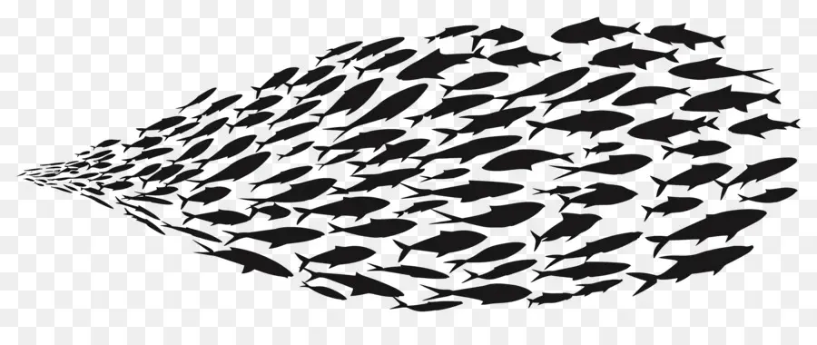 Groupe De Poissons，Poisson Silhouette PNG