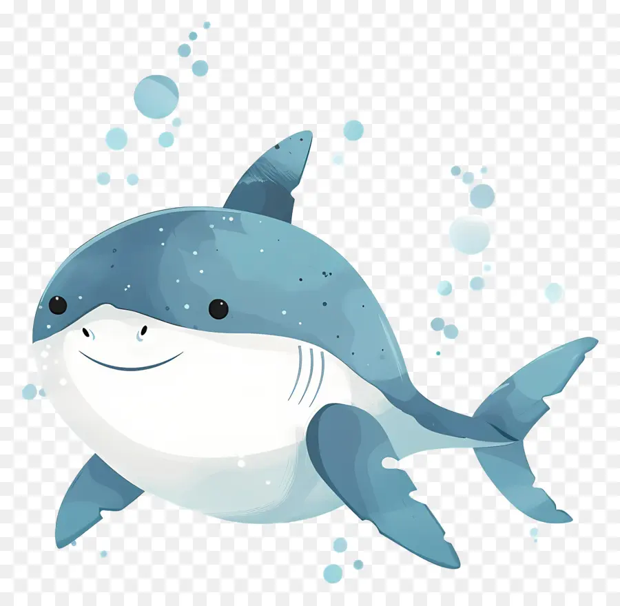 Requin Mignon，Requin Bleu Mignon PNG