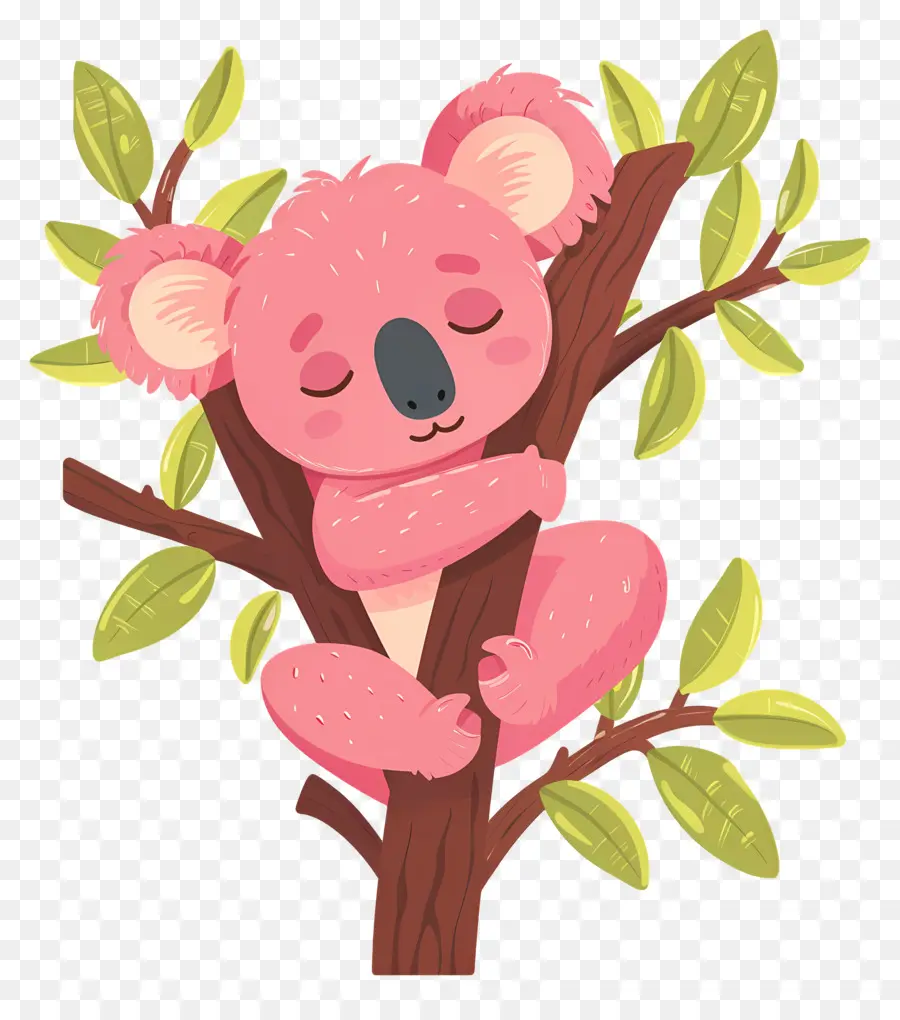 Koala Mignon，Koala Rose PNG