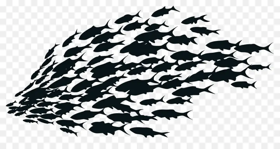 Groupe De Poissons，Banc De Poissons Silhouette PNG