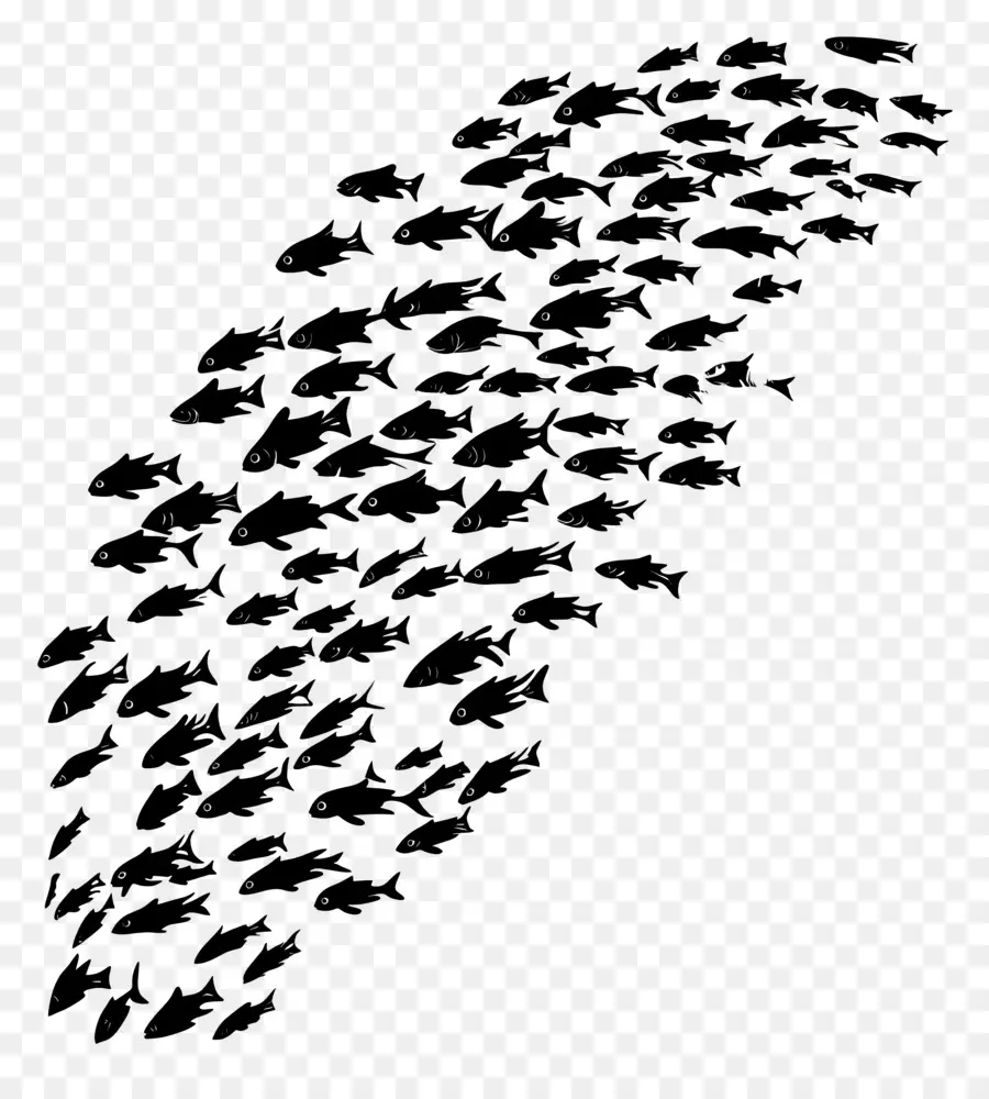 Groupe De Poissons，Banc De Poisson Noir PNG