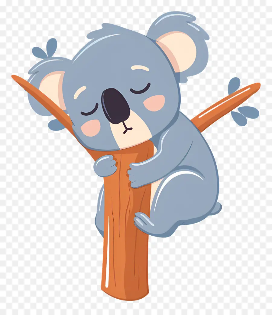 Koala Mignon，Koala Endormi PNG