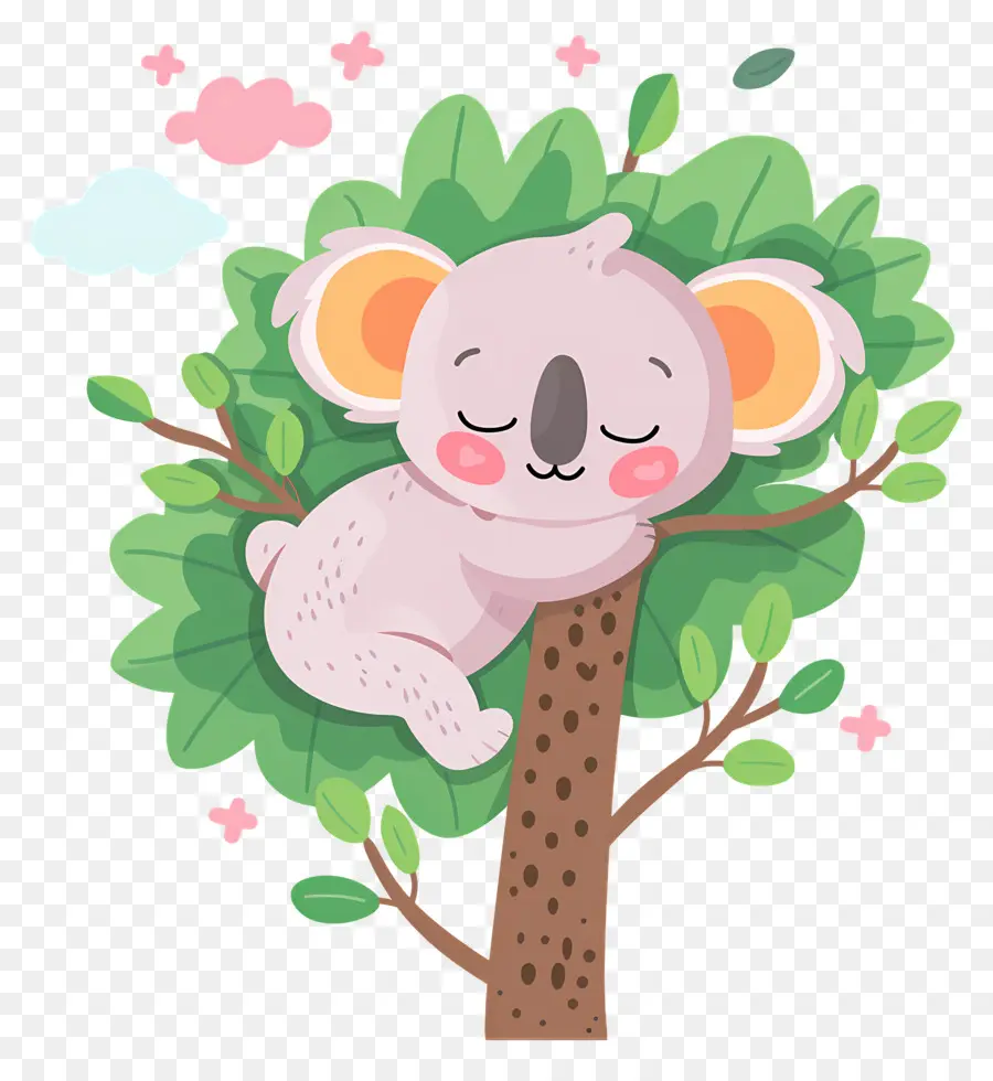 Koala Mignon，Koala Sur Arbre PNG