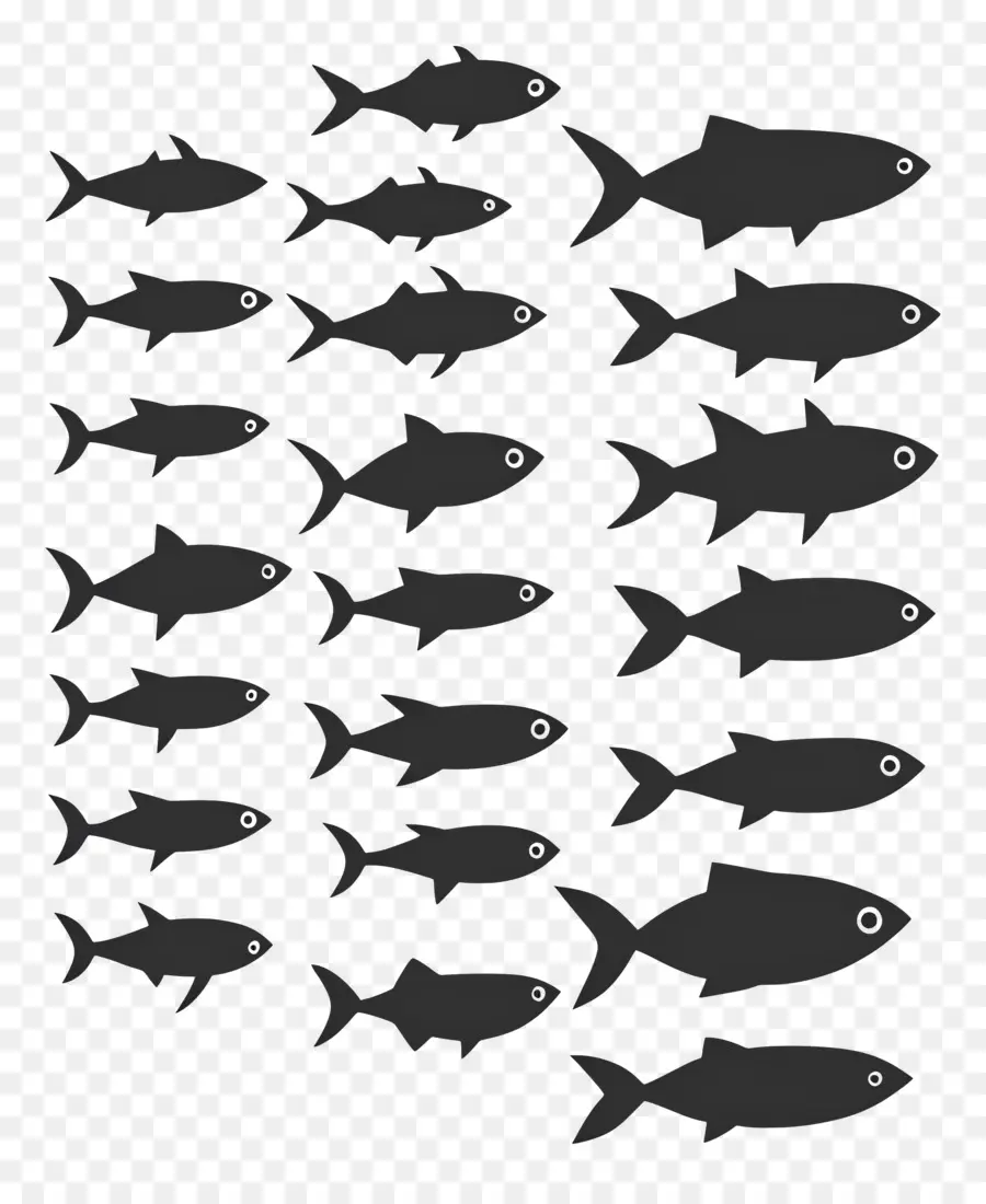 Groupe De Poissons，Silhouettes De Poissons PNG