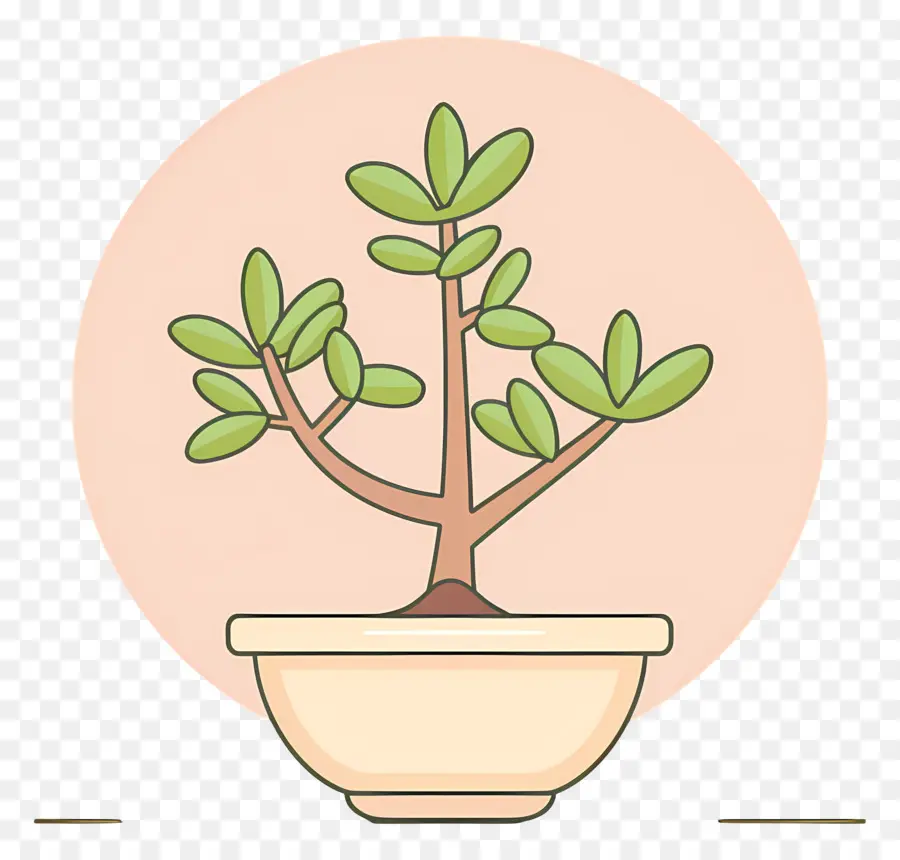 Bonsaï，Plante En Pot PNG