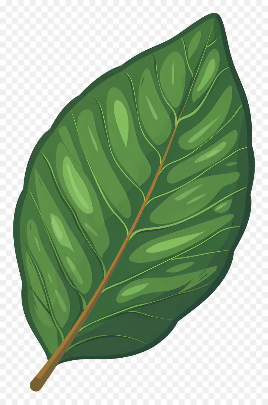 Feuille Unique，Feuille Verte PNG