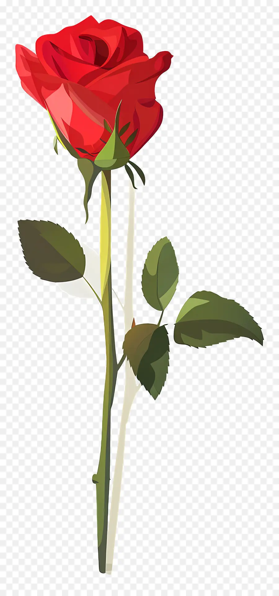 Rose Simple，Rose Rouge PNG