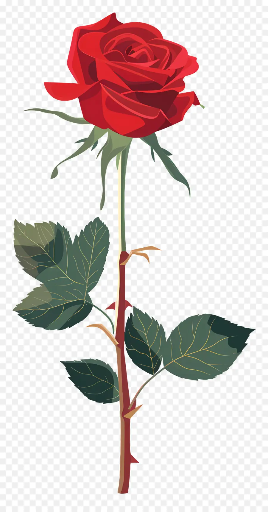 Rose Simple，Rose Rouge PNG