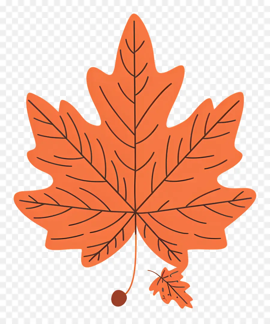 Feuille D'érable D'automne，Feuille D'oranger PNG