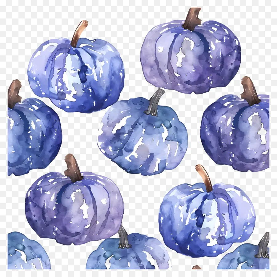 Modèle De Thanksgiving，Citrouilles Bleues PNG