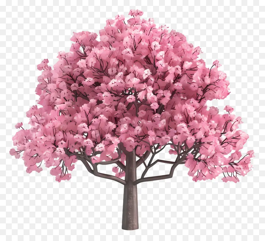 Arbre Animé，Arbre Rose PNG