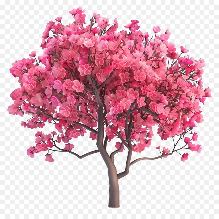 Arbre Animé，Arbre Rose PNG