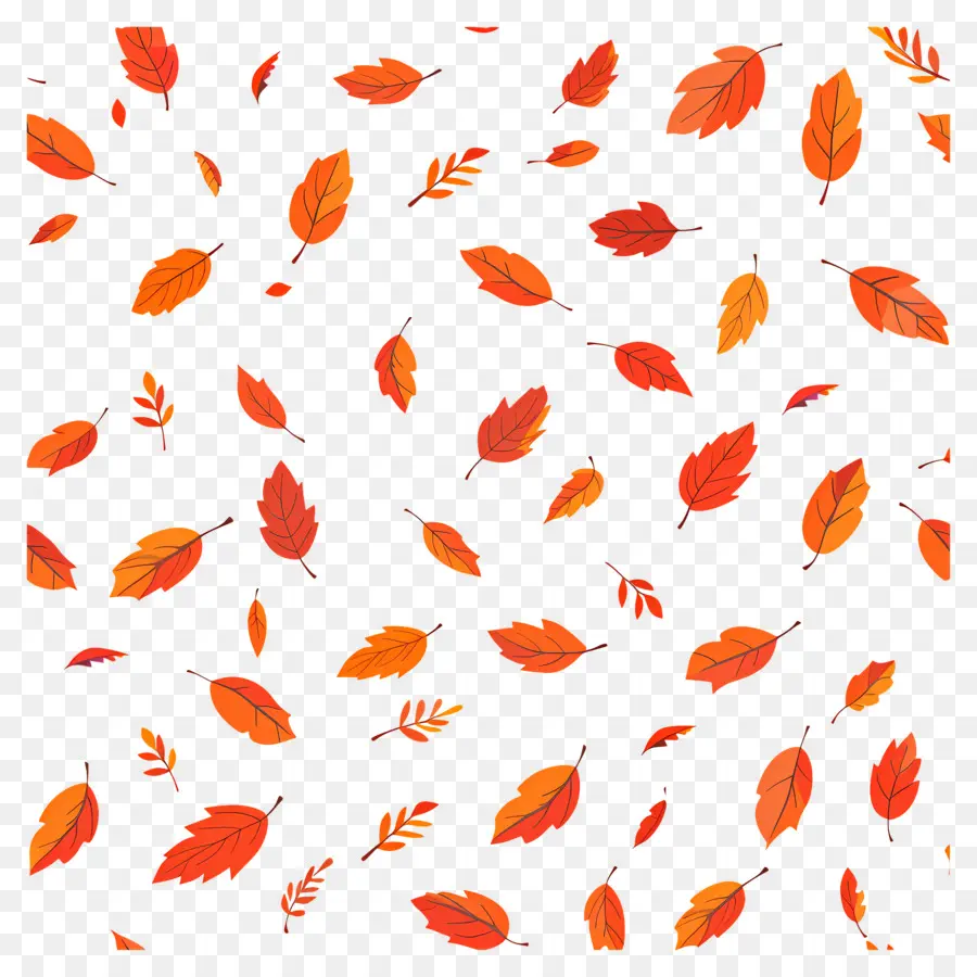 Modèle De Thanksgiving，Feuilles Qui Tombent PNG