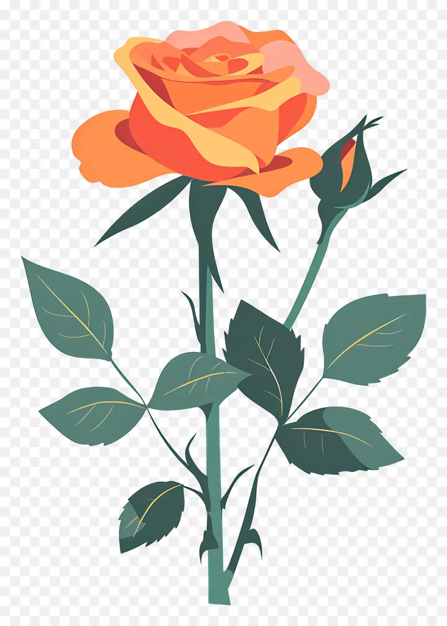 Rose Simple，Rose PNG