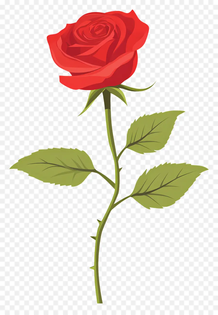 Rose Simple，Rose Rouge PNG