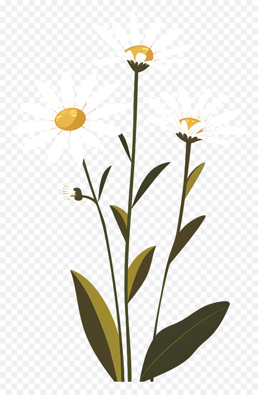 Fleurs Marguerite，Fleurs Simples PNG