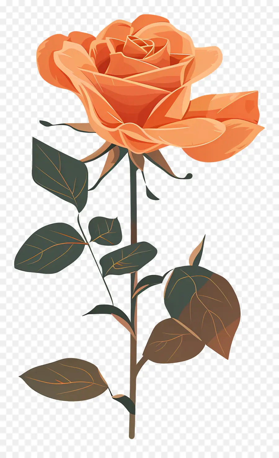 Rose Simple，Rose PNG