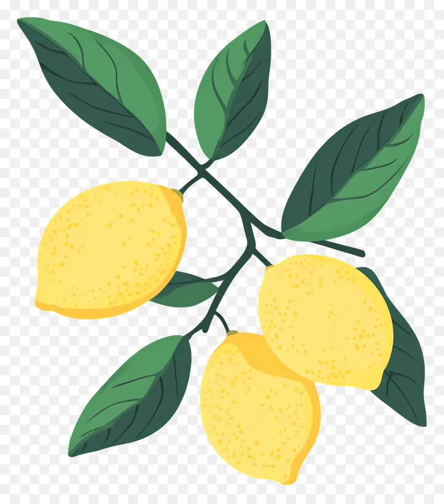 Aquarelle Citron，Citrons Jaunes PNG