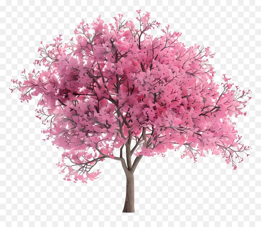 Arbre Animé，Arbre Rose PNG