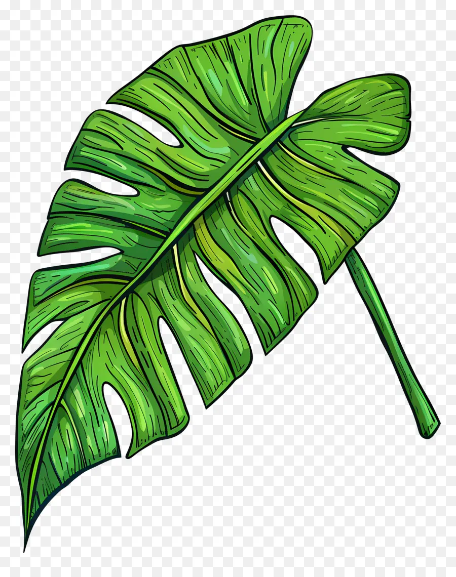 Feuille Unique，Feuille Verte PNG