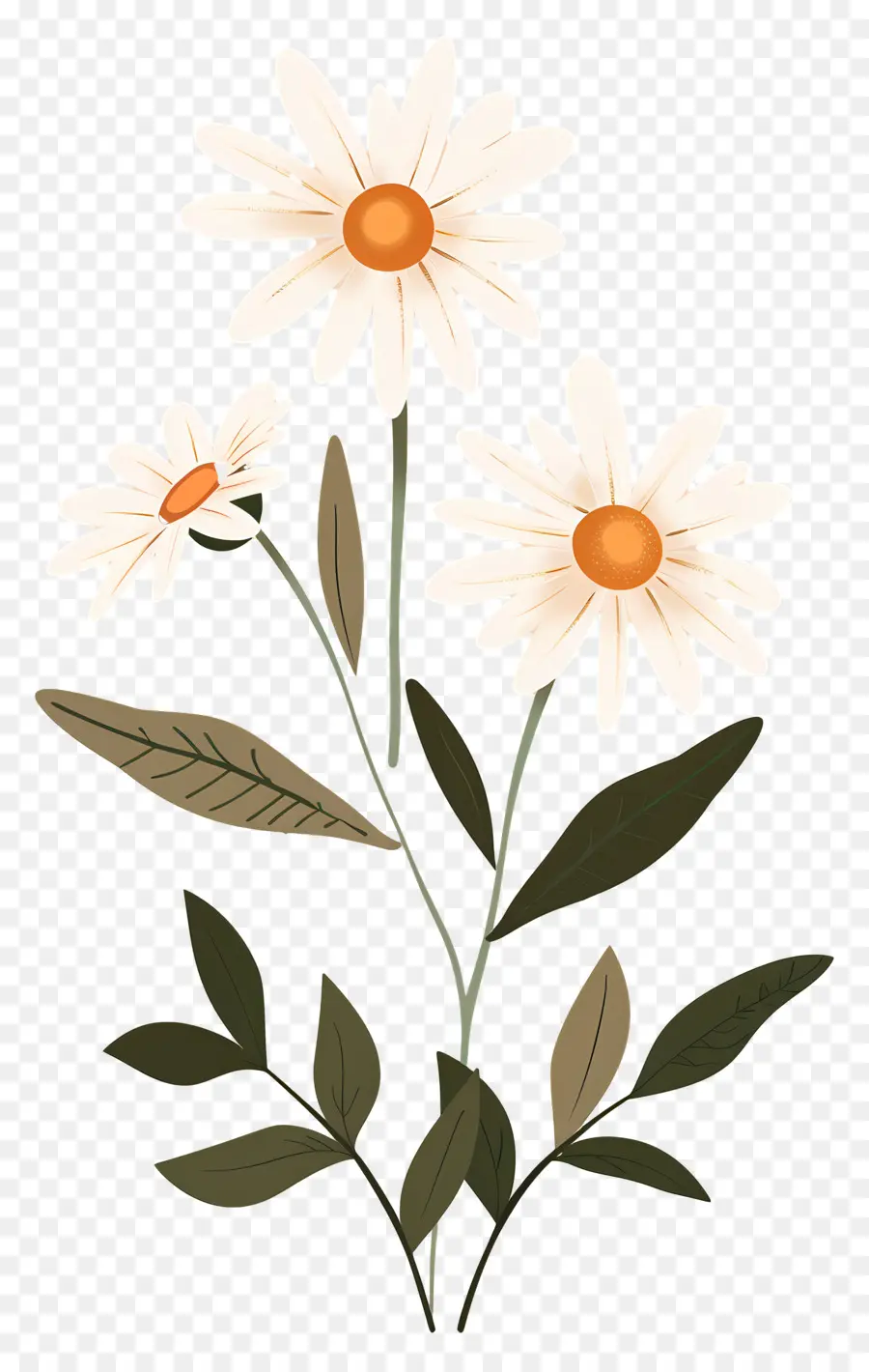 Fleurs Marguerite，Marguerites Artistiques PNG