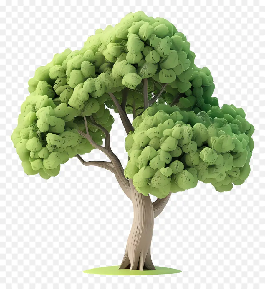 Arbre Animé，Arbre Vert PNG