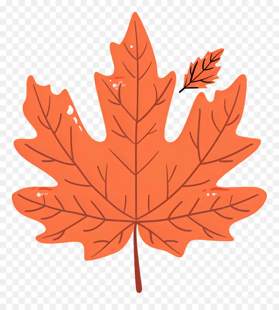 Feuille D'érable D'automne，Feuille D'automne PNG