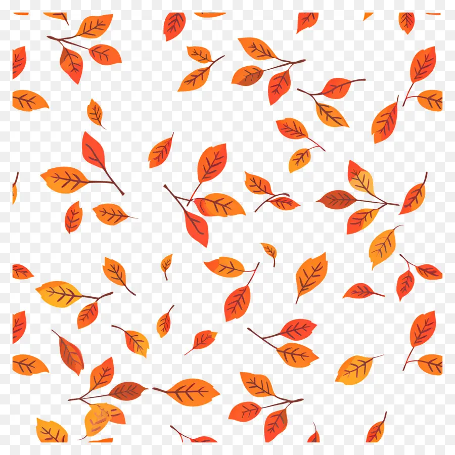 Modèle De Thanksgiving，Feuilles D'automne PNG