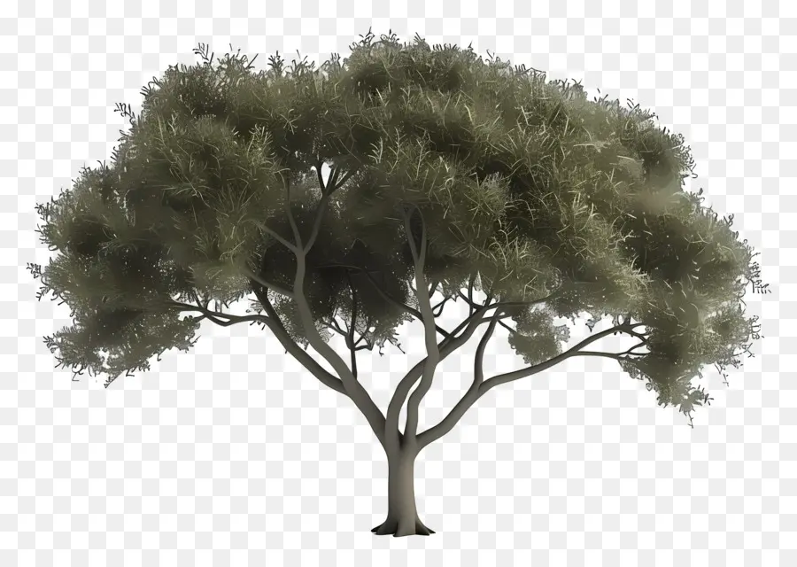 Arbre Animé，Arbre PNG