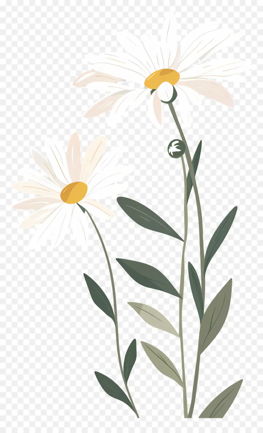 Fleurs Marguerite，Fleur Jaune PNG