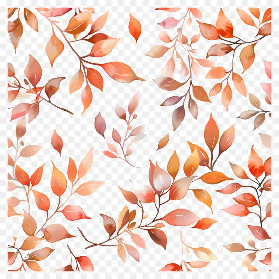 Modèle De Thanksgiving，Feuilles D'automne PNG