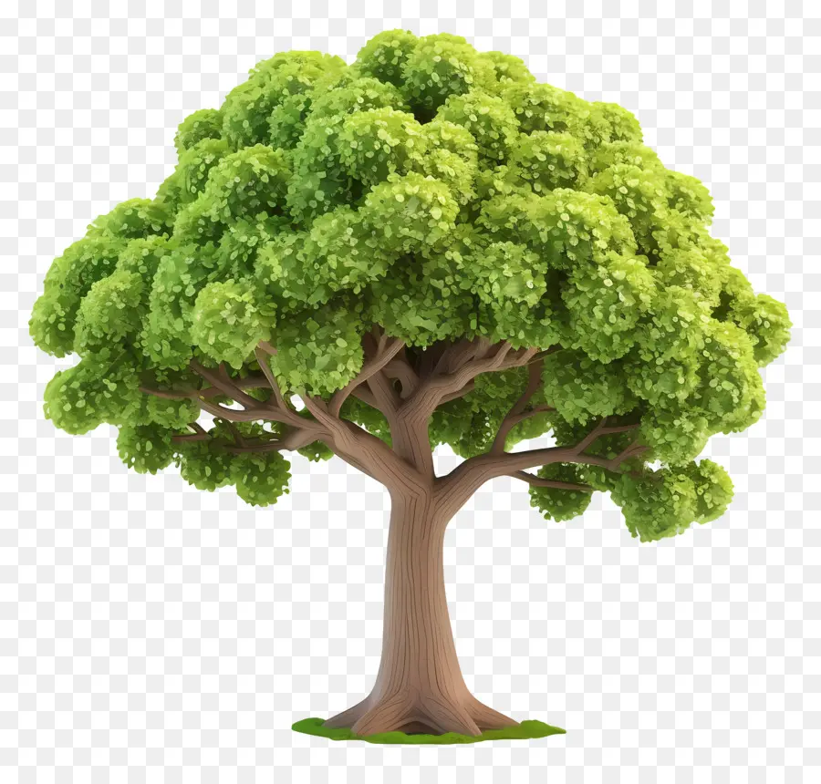 Arbre Animé，Arbre Stylisé PNG