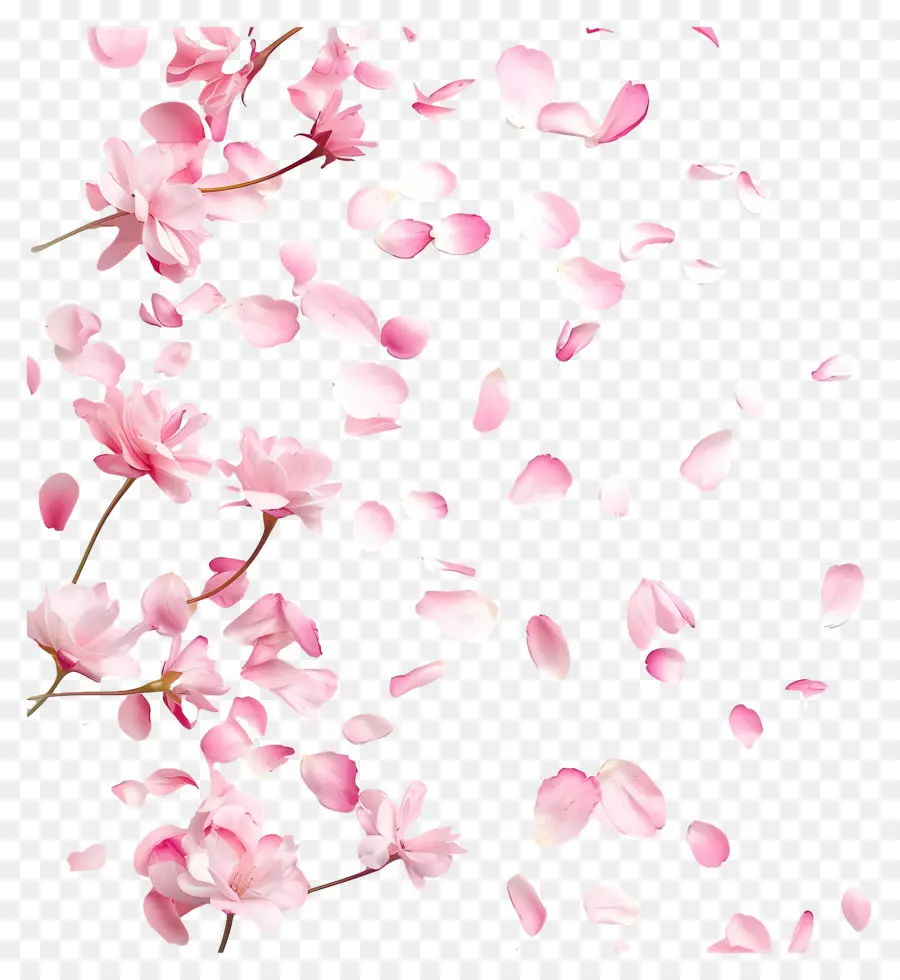 Fleurs Qui Tombent，Fleur De Cerisier PNG