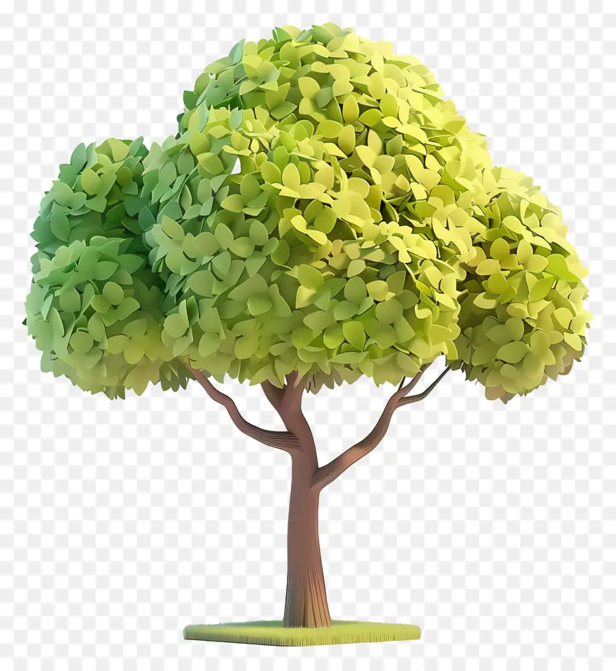 Arbre Animé，Arbre Stylisé PNG