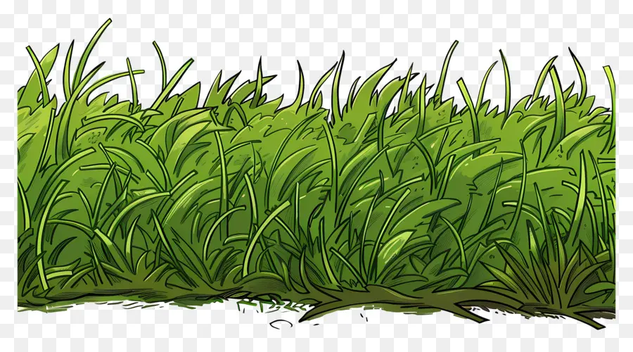 Sol En Herbe，Herbe Verte PNG