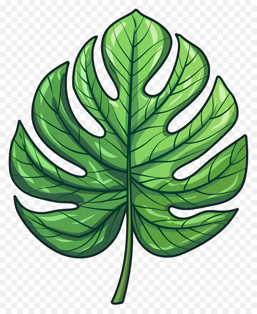 Feuille Unique，Feuille Verte PNG