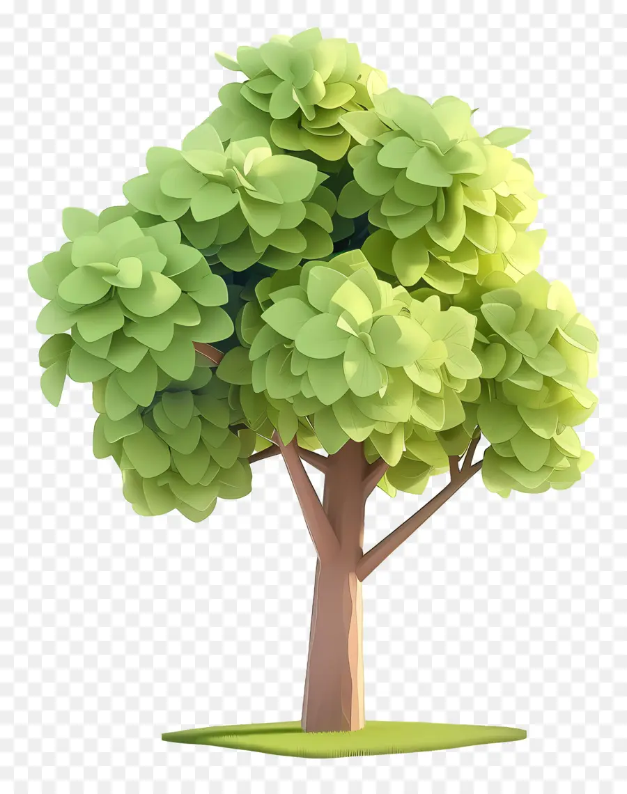 Arbre Animé，Arbre Vert Rond PNG