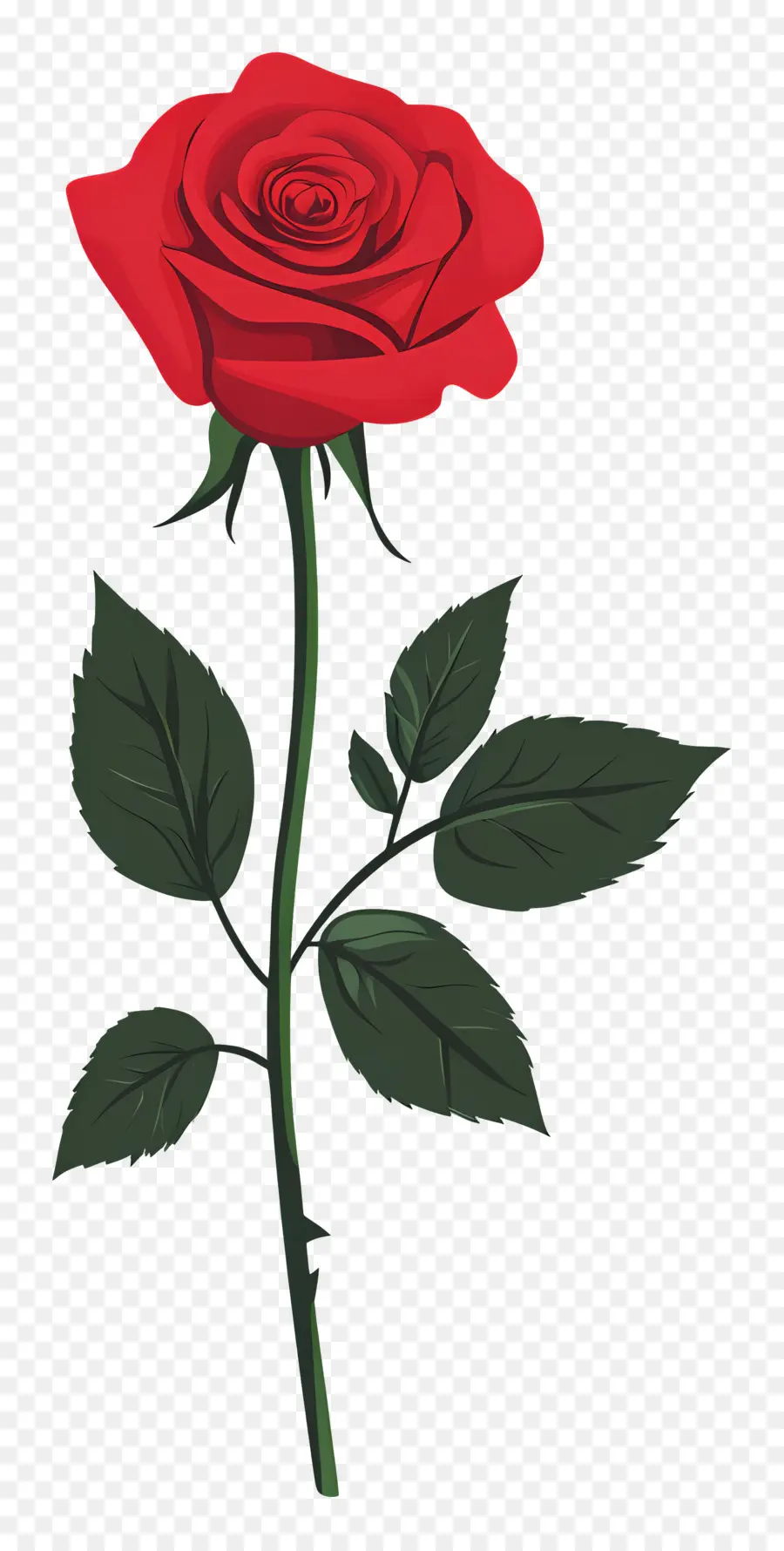 Rose Simple，Rose Rouge PNG