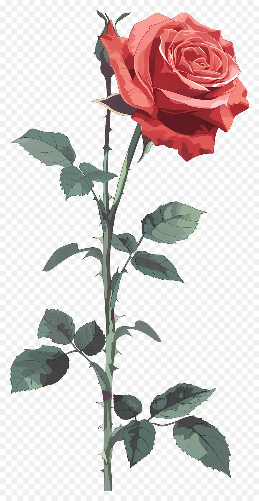 Rose Simple，Rose Rouge PNG