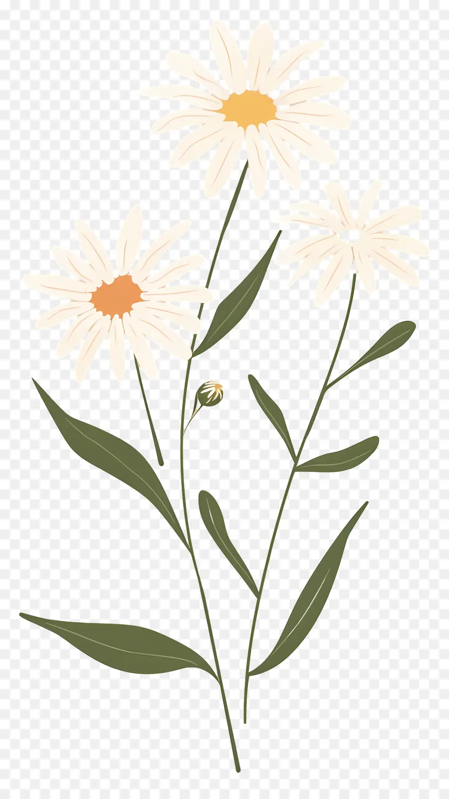 Fleurs Marguerite，Marguerites PNG