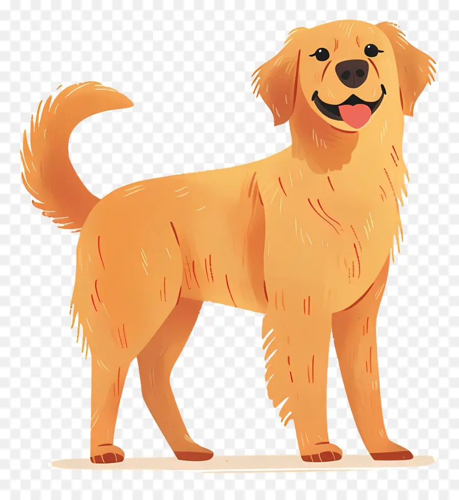 Chien Golden Retriever，Chien D'or PNG